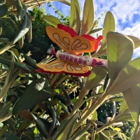 13892347_1738094279792961_1159520637751273817_n